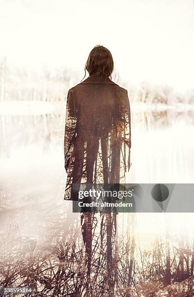 double exposure - tree roots stock pictures, royalty-free photos & images