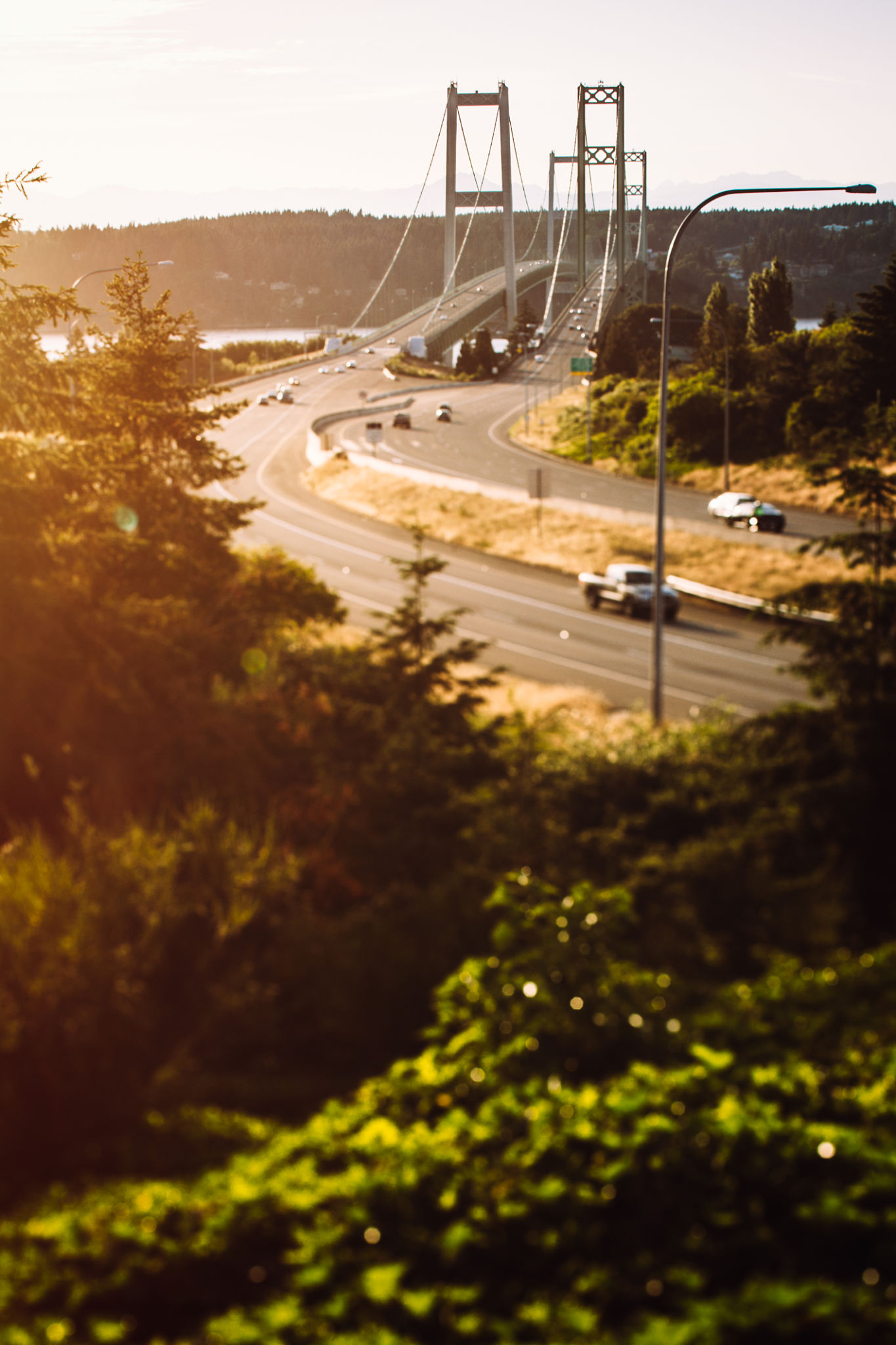 Tacoma Narrow Bridge Tacoma Narrow Bridge