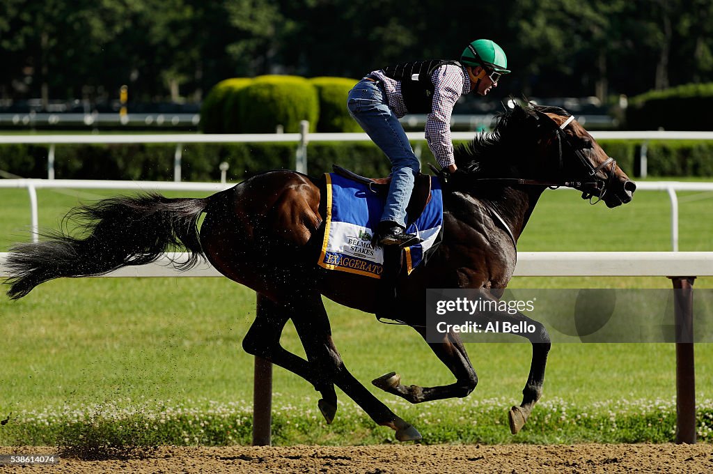 The 148th Belmont Stakes - Previews