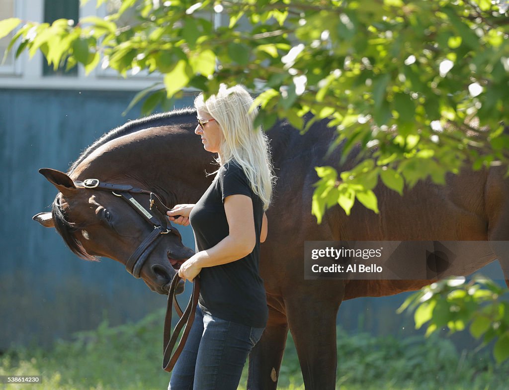 The 148th Belmont Stakes - Previews