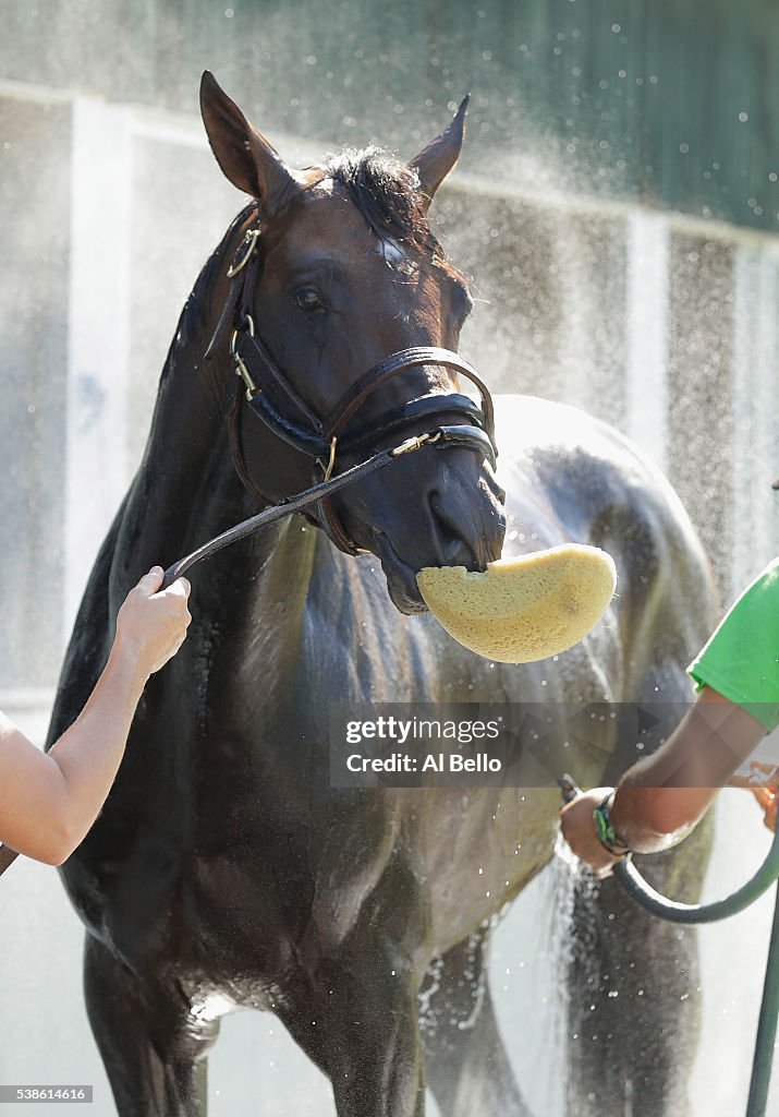 The 148th Belmont Stakes - Previews