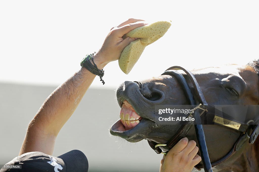 The 148th Belmont Stakes - Previews