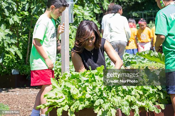Washington, DC On Monday, June 6, on the South Lawn of the White House, First Lady Michelle Obama, helps kids harvest vegetables from the White House...