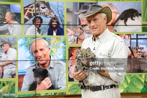 Jack Hanna brings an assortment of baby animals from the Columbus Zoo to GOOD MORNING AMERICA, 6/7/16, airing on the Walt Disney Television via Getty...