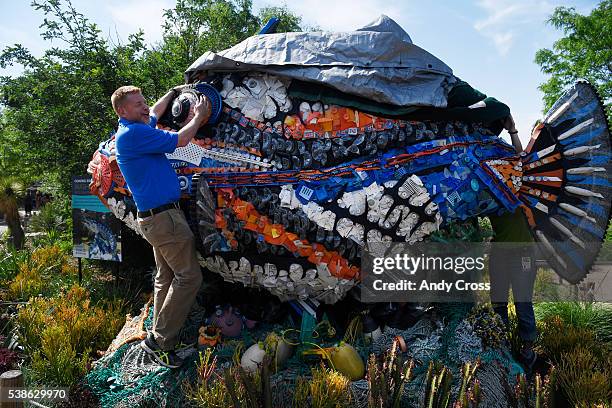 Brad Parks, Denver Zoo, hangs on to the eye of Rufus the Triggerfish sculpture during the unveiling June 07, 2016. The sculpture is the first of 15...