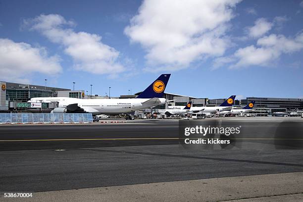 reihe von lufthansa-flugzeuge geparkt am internationalen flughafen frankfurt. - frankfurt international airport stock-fotos und bilder