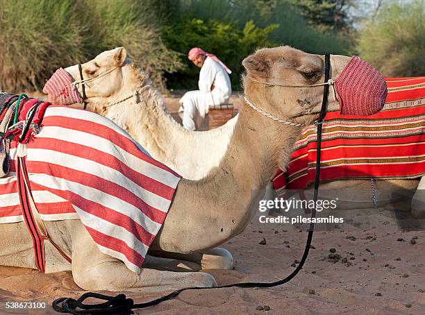 Bed Sheet Rope Photos and Premium High Res Pictures - Getty Images