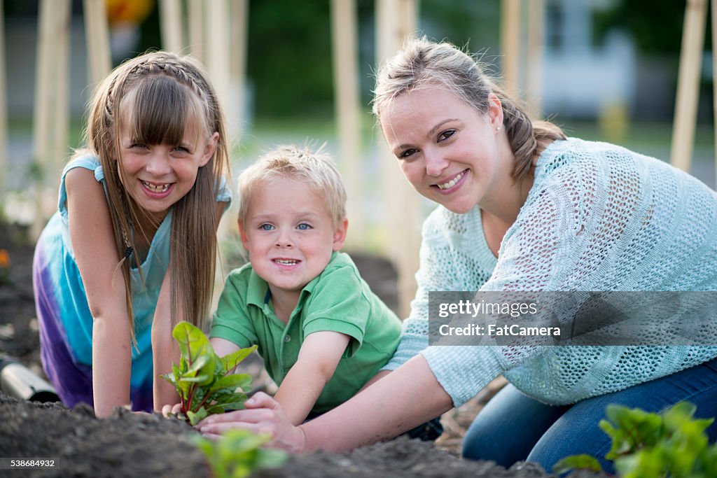 Plantação juntos em Dia da Mãe