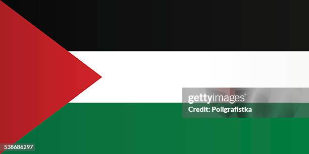 ilustraciones, imágenes clip art, dibujos animados e iconos de stock de bandera de palestina - palestinian flag