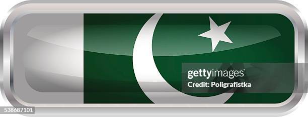 glossy button - flag of pakistan - rectangle button stock illustrations