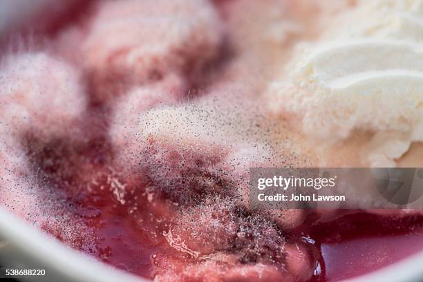 mould growing on out of date trifle - jello mold stock pictures, royalty-free photos & images