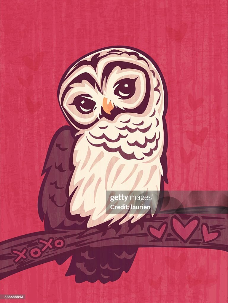 Flirty brown and white Barred Owl on textured background.