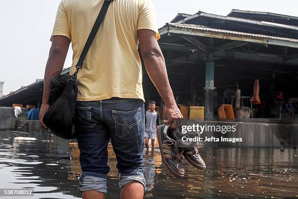 The traffic of vehicles and people passing in the tidal flood inundation in the area of the Port of Muara Baru fish market, on June 7, 2016 in...