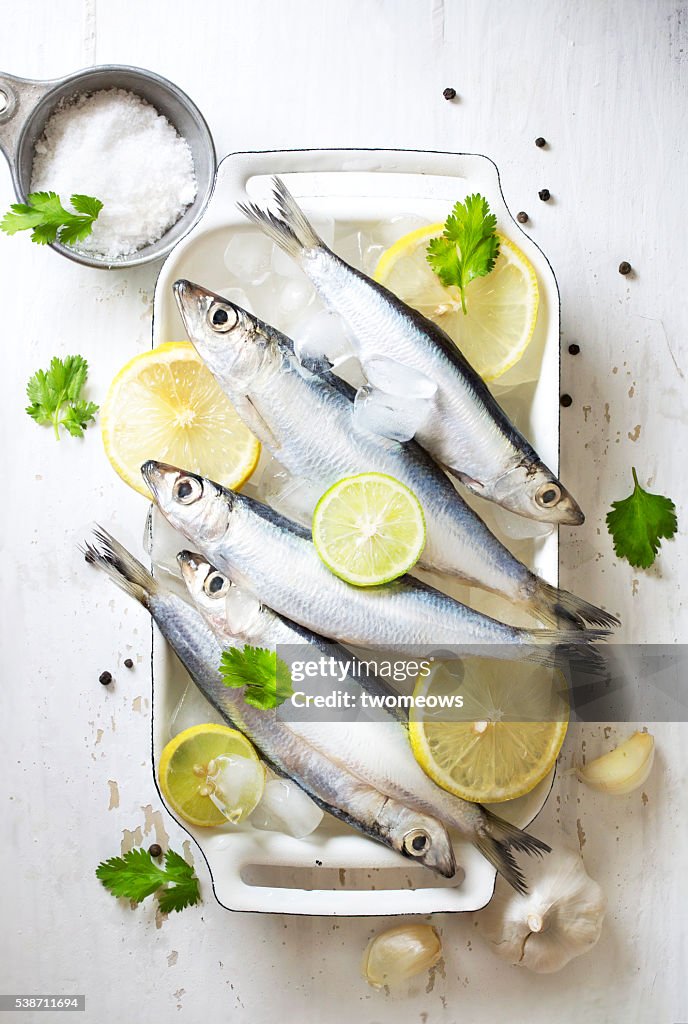 Chilled fresh uncooked sardines with herbs and lemon slice on white background.