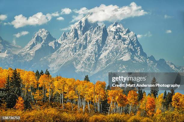 grand teton mountains in fall - aspen trees stock-fotos und bilder