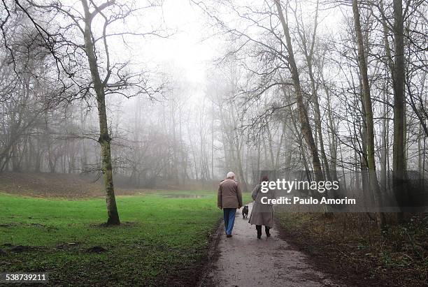 an old couple walking in the park - amsterdam winter stock pictures, royalty-free photos & images