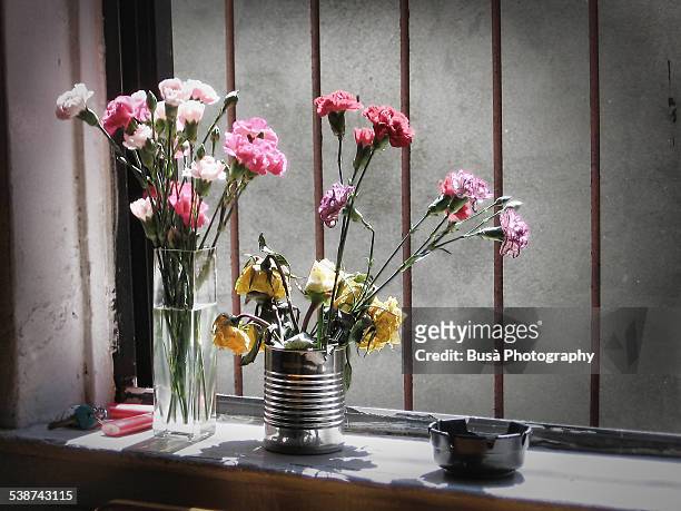 flowers in tin cans by a window with a metal grate - flower arrangement carnation ストックフォトと画像