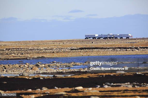 a tundra buggy lodge - tundra buggy bildbanksfoton och bilder