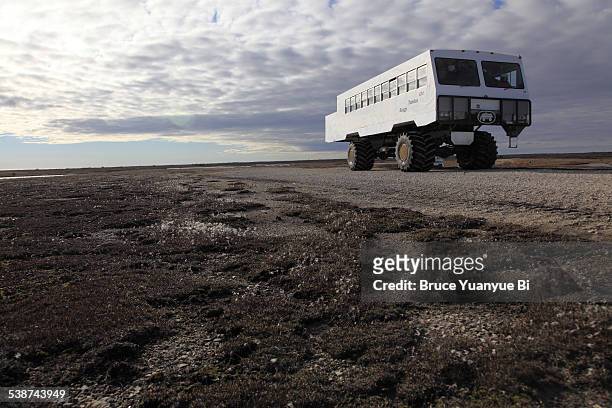 a tundra buggy on arctic tundra - tundra buggy stock pictures, royalty-free photos & images