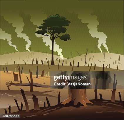  Ilustraciones de Deforestación - Getty Images
