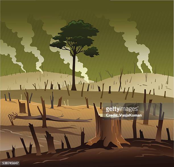 illustrations, cliparts, dessins animés et icônes de déforestation et l'arbre solitaire - pollution