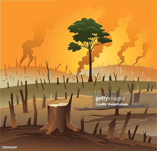 deforestation - enviromental destruction and a red sky - deforestation wasteland stock illustrations