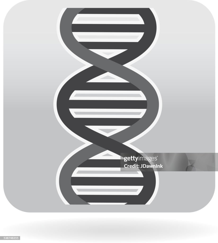 Gray Double Helix Dna Sequence Icon High-Res Vector Graphic - Getty Images