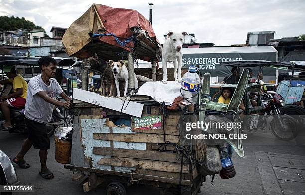 Francisco Gozon pushes a wooden cart, which is also his house, with his three pat dogs in Divisoria Market in Manila on June 8, 2016. The...