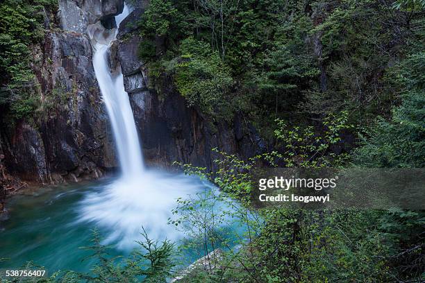rapid flow into green - isogawyi stock pictures, royalty-free photos & images