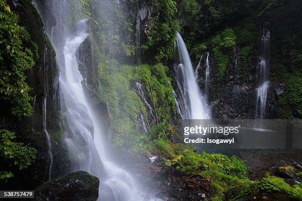 flow of waterfalls - isogawyi stock pictures, royalty-free photos & images