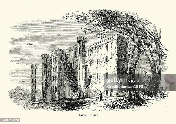 dangan castle, co meath, ireland - ireland castle stock illustrations