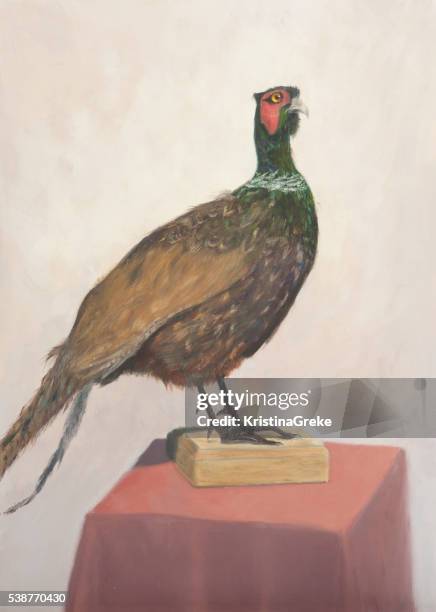 ilustraciones, imágenes clip art, dibujos animados e iconos de stock de aceite pinturas sobre lienzo retrato de lechuguilla - pheasant bird