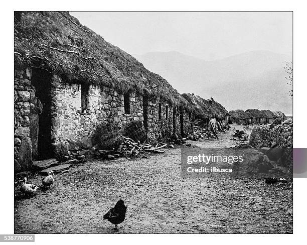 alte foto von bauernhöfen in der " shetland-bos island (schottland) -19th jahrhundert - thatched roof stock-grafiken, -clipart, -cartoons und -symbole