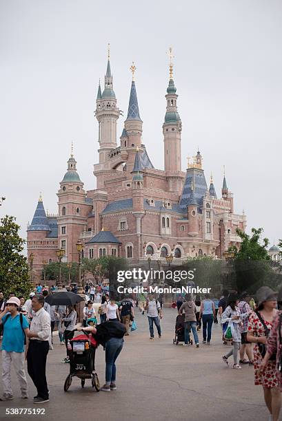 crowd near castle in disneyland shanghai - disneyland stock pictures, royalty-free photos & images