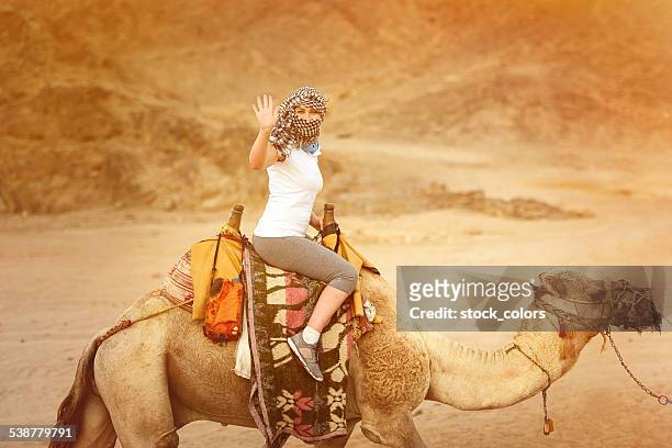 woman on camel - hot arabian women stock pictures, royalty-free photos & images