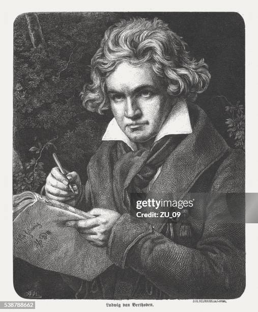 310 Ludwig Van Beethoven 1770 1827 Stock Photos and High-Res