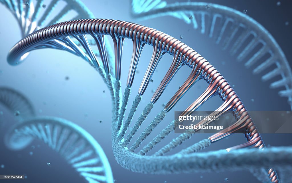 DNA Genetic Engineering