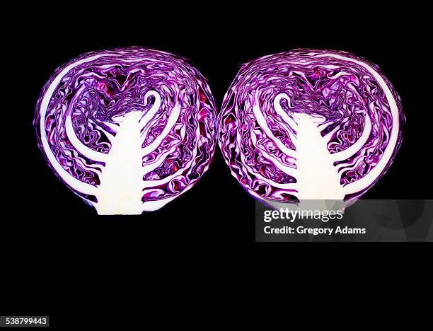 two red cabbage halves on a black background - hatboro imagens e fotografias de stock