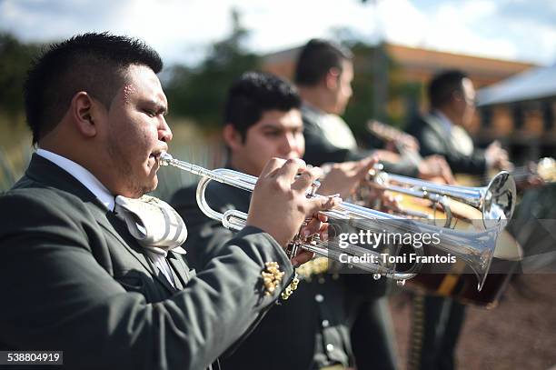 Mariachi performing at Plaza Garibaldi in downtown Mexico City, where people can hire Mariachi bands