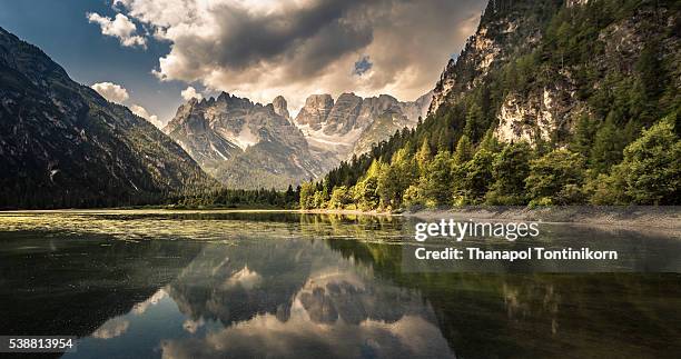 lago di landro dürrensee , italy - majestic tree stock pictures, royalty-free photos & images