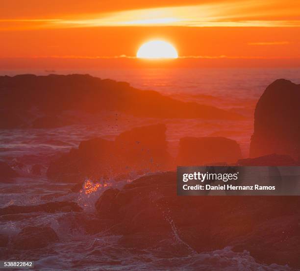 a guarda. wave breaking at sunset with the sun backlighting - guarda sol stock-fotos und bilder