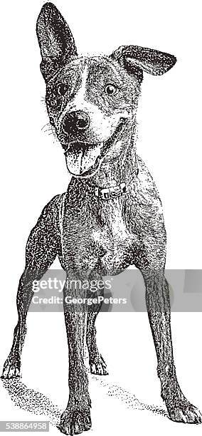 1 7点の雑種犬イラスト素材 Getty Images 1 7点の雑種犬イラスト素材 Getty Images