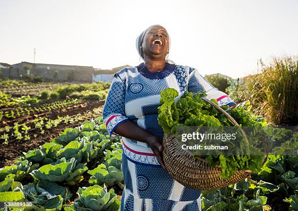 mujer africana riendo - cultivated land fotografías e imágenes de stock
