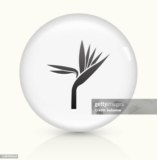 exotic flower icon on white round vector button - climate neutral stock illustrations