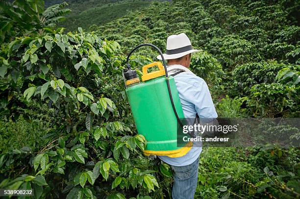 mann beschmiert eine kaffeefarm - fumigation stock-fotos und bilder