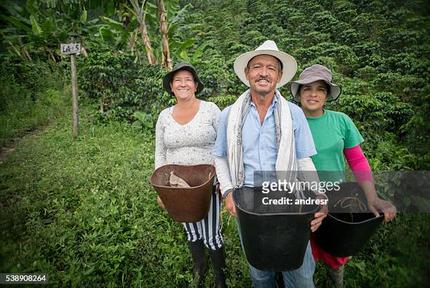 group of farmers collecting coffee beans - fair trade stock pictures, royalty-free photos & images