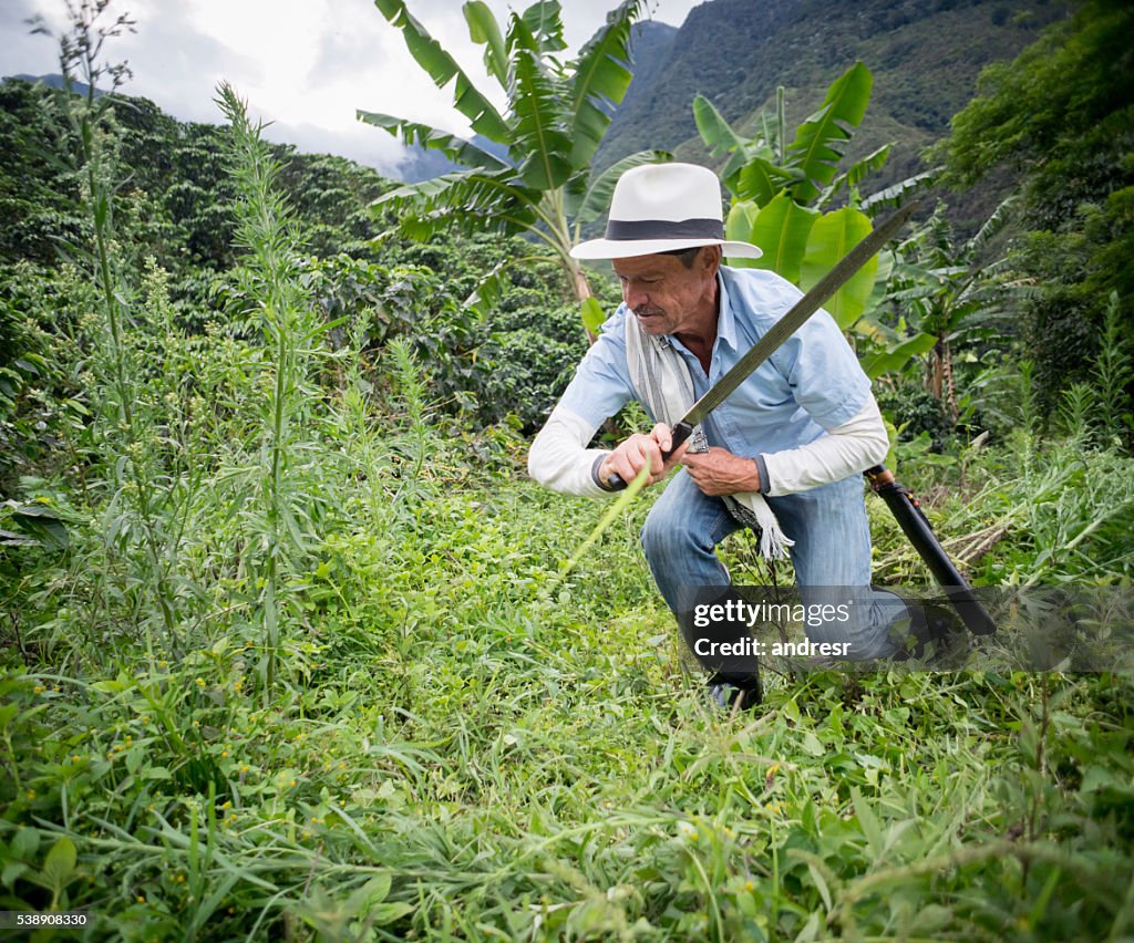Latin American farmer working the land