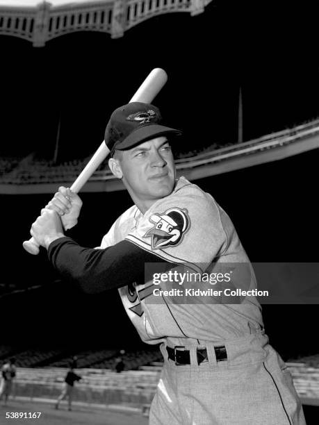 Jim Pyburn Outfielder Jim Pyburn, of the Baltimore Orioles, poses for a portrait ...