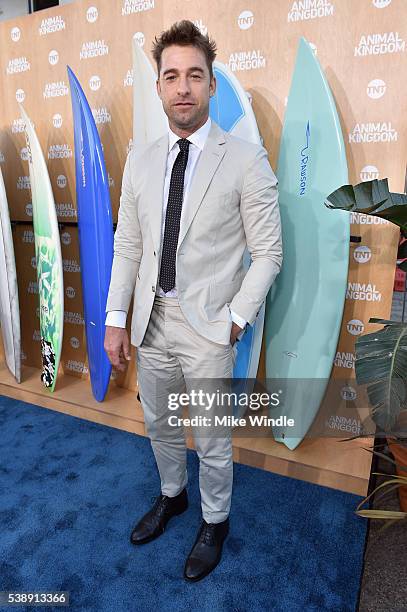 Actor Scott Speedman attends the TNT "Animal Kingdom" S1 Premiere on June 8, 2016 in Venice, California. 26227_001