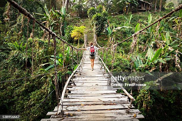 single woman with backpack on suspension bridge in rainforest - chiang mai province stock pictures, royalty-free photos & images